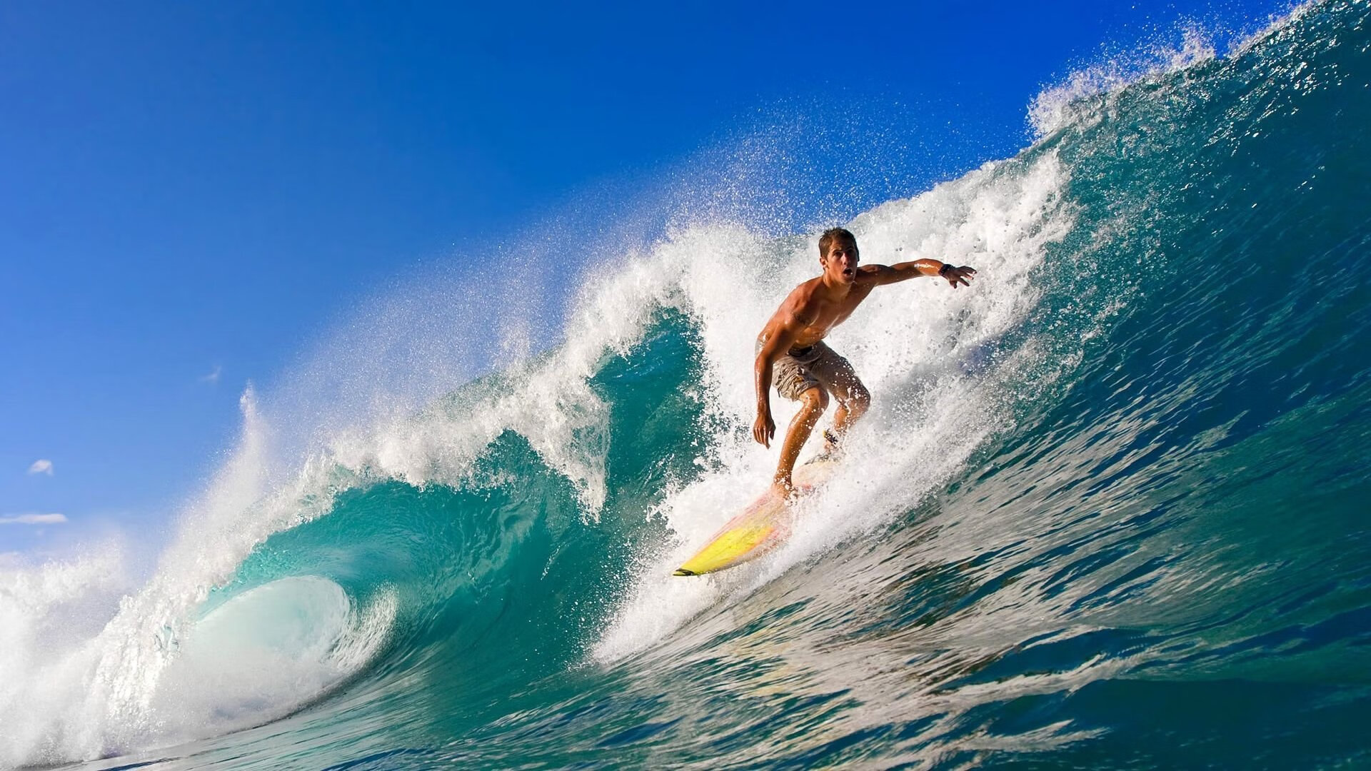 城市体育指数发布日配套5公里健康跑